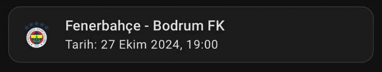fenerbahce.jpg